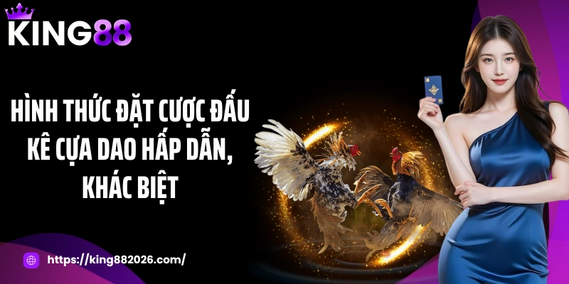Hình thức đặt cược đấu kê cựa dao hấp dẫn, khác biệt